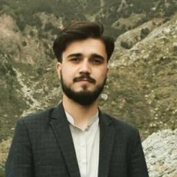 Haider A. - Software Engineer - Frontend, React and Mobile Platforms