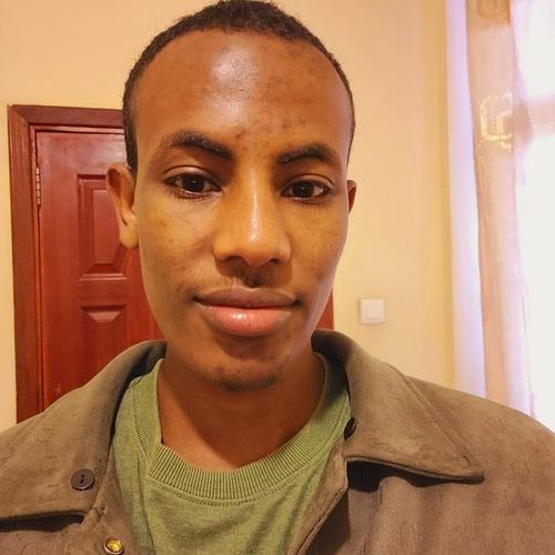 Halefom A. || item.role}