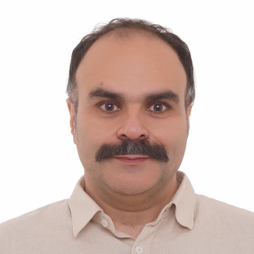 Hamed P. || item.role}