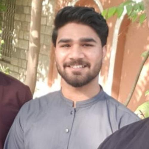 Hammad  H. || item.role}