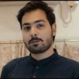 Hamza A. - Software Engineer - AI, JavaScript and API Integration