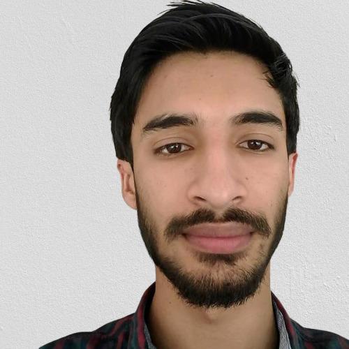 Hamza R. || item.role}