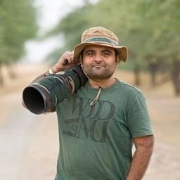 Hardik P. - Lead Data Engineer - Data Engineering, Data Science and Architecture Platforms