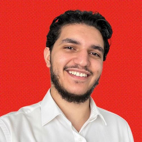 Profile of Hashem H., Software Engineer - AI, Machine Learning and Python Platforms at Softaims