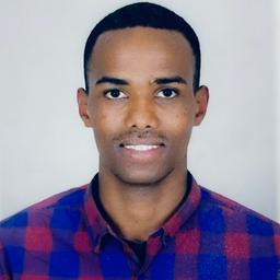 Henok A. - Software Engineer - Backend, Cloud and Data Analysis Platforms