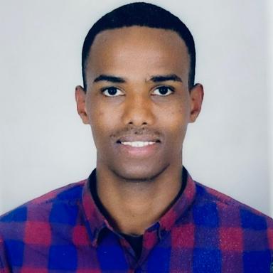 Henok A. - Software Engineer - Backend, Cloud and Data Analysis Platforms