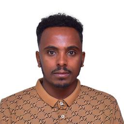 Henok A. - Software Engineer - Frontend, Backend and Mobile Platforms