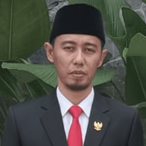 Henri S. - MySQL Developer