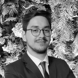 Henrique F. - Junior Full-Stack Engineer - JavaScript, React and Node Platforms