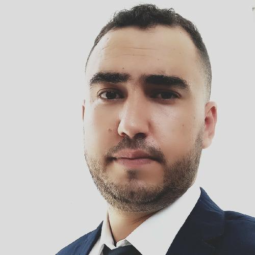 Hicham H. || item.role}