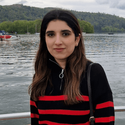 Hiraa A. - Software Engineer - Mobile, UX/UI and General Development