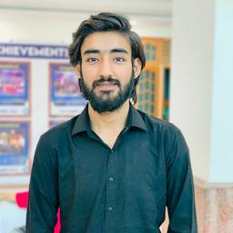 Hitesh V. - Software Engineer - Backend, AI and General Development