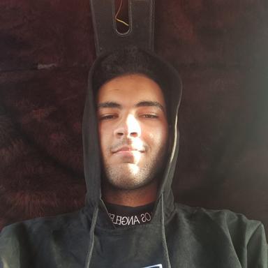 Ho V. - Junior Software Engineer - Web, Backend and General Development