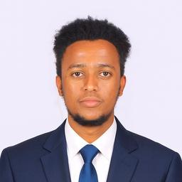 Honelign  S. - Senior Mobile Engineer - React Native, Flutter and iOS Platforms