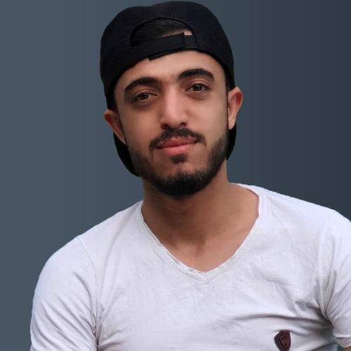 Hussain A. || item.role}