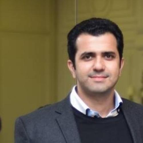 Hussain N. || item.role}