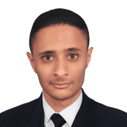 Ibrahim L. - Senior Full-Stack Engineer - Python, Django and Web Applications