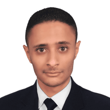 Ibrahim L. - Senior Full-Stack Engineer - Python, Django and Web Applications
