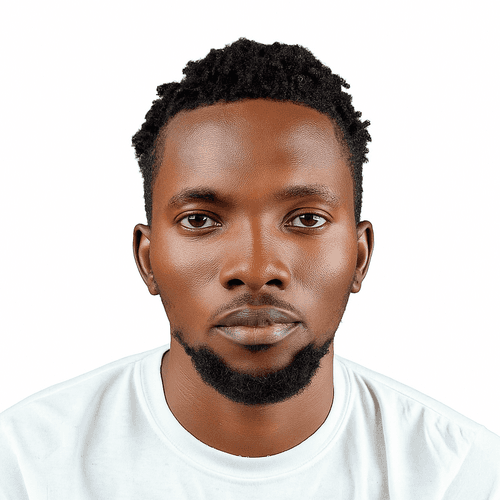 Profile of Ibrahim O., Software Engineer - Web, Marketing Automation and General Development at Softaims