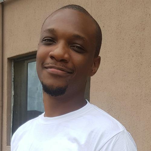 Ifeanyi I. || item.role}