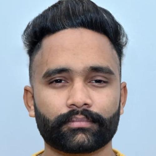 Profile of Inderjit  S., Lead Full-Stack Engineer - AI, Cloud and Modern Frameworks at Softaims