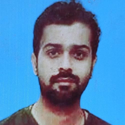 Irfan E. || item.role}