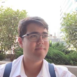 Joao L. - Junior Software Engineer - Creative Arts, 3D Modeling and Music Production