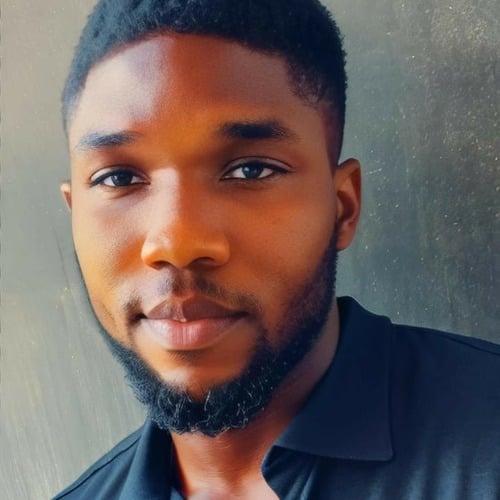 Profile of John Timilehin O., Software Engineer - Web, WordPress and General Development at Softaims