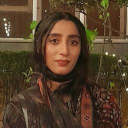 Kainat R. - Software Engineer - Frontend, Backend and Web Development