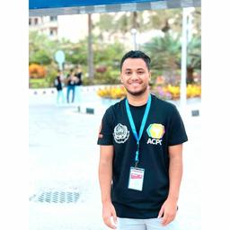 Kareem T. - Junior Mobile Engineer - Flutter, Dart and Mobile Platforms