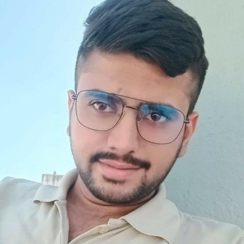 Kashyap S. || item.role}