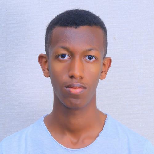 Khalid I. || item.role}