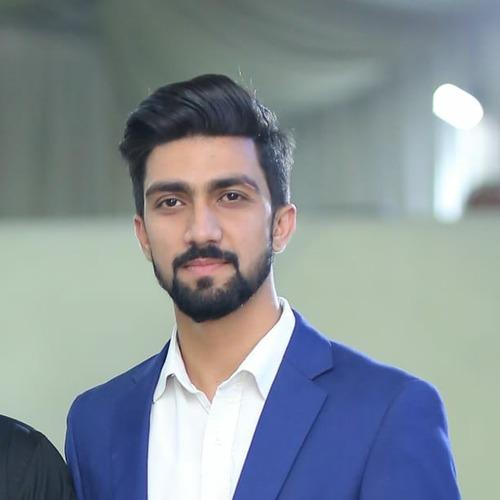 Khizar B. || item.role}