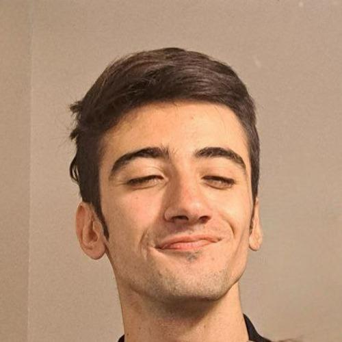 Kiarash B., developer