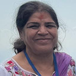 Krishna C. - Junior Software Engineer - Salesforce, Web and General Development