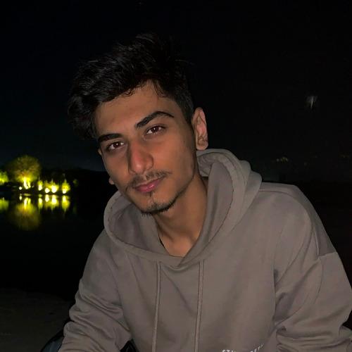 Kritanjya S. || item.role}