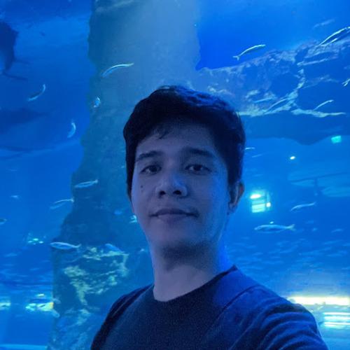 Leodel B., developer