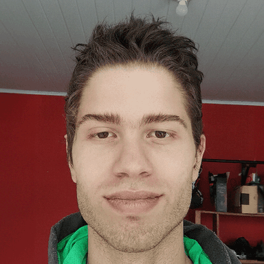 Leonardo P. - Software Engineer - Backend, Web and General Development