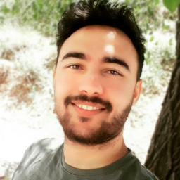 Levan T. - Software Engineer - Full-Stack, PHP and Modern Frameworks