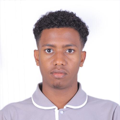 Liban A. || item.role}