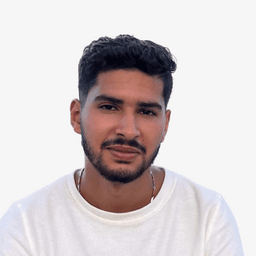 Louay M. - Software Engineer - Frontend, Backend and Modern Frameworks
