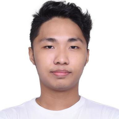 Louie Jay S. - Software Engineer - Full-Stack, Cloud and Modern Frameworks