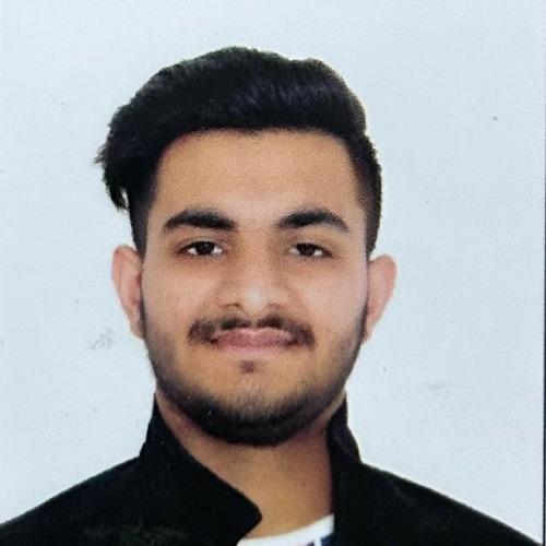 Lovish M. || item.role}