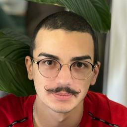 Luka G. - Software Engineer - Frontend, Modern Frameworks and Mobile Platforms