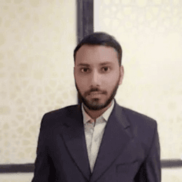 M N. - Junior Frontend Engineer - WordPress, Angular and Custom Web Design