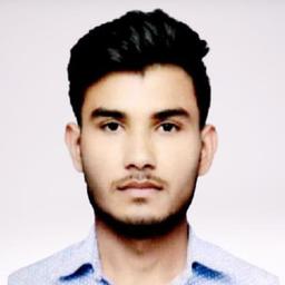 Madhusudan T. - Junior Software Engineer - AI, Python and General Development