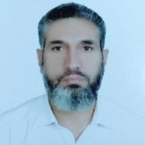 Mahmood A. || item.role}