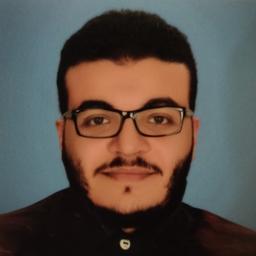 Mahmoud A. - Lead Software Engineer - QA, Automated Testing and Software Quality Assurance