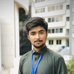 Malik Ali R. - Software Engineer - Full-Stack, Web and Mobile Platforms