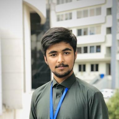 Malik Ali R. - Software Engineer - Full-Stack, Web and Mobile Platforms